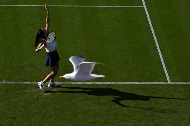 Australia's Daria Kasatkina serves to US player McCartney Kessler during their women's singles round of 32 tennis match on day one of the Lexus Eastbourne Open at Devonshire Park, Eastbourne, on the south coast of England on June 22, 2026. (Photo by Glyn KIRK / AFP)