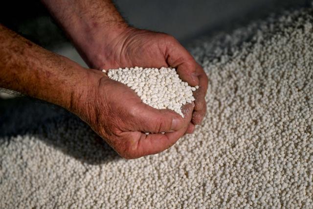 A photo taken on June 22, 2026 shows a farmer holding single super phosphate fertiliser at a fertiliser depot in the small rural town of Buffalo, some 163kms south-west of Melbourne. Importing 90 percent of fertilisers, Australia is facing a severe shortage due to the closure of the Strait of Hormuz. (Photo by William WEST / AFP)
