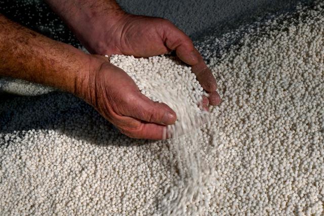 A photo taken on June 22, 2026 shows a farmer holding single super phosphate fertiliser at a fertiliser depot in the small rural town of Buffalo, some 163kms south-west of Melbourne. Importing 90 percent of fertilisers, Australia is facing a severe shortage due to the closure of the Strait of Hormuz. (Photo by William WEST / AFP)