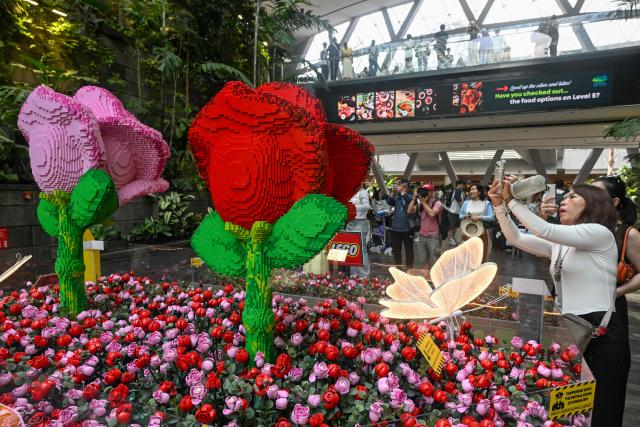 People take pictures of roses created with Lego blocks displayed at the Jewel Complex at Singapore Changi Airport in Singapore on June 23, 2026. (Photo by Roslan RAHMAN / AFP)