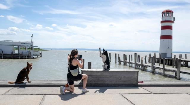 A professional dog trainer Zoe Bakker of Netherlands takes photographs of her dogs Luxx (8mths on the right) and 8 years old Nemesis) during her trip to the Neusiedl See lake at Podersdorf am See south-east of Vienna, Austria, on June 23, 2026. A current heatwave affecting all of Austria is expected to peak at the end of the week with temperatures forecast to reach around 40 degrees Celsius and higher, particularly in the east of the country, according to Geosphere Austria, the country's meteorological agency, the state of Lower Austria (east) has activated its heatwave alert system as a precaution. (Photo by Joe Klamar / AFP)