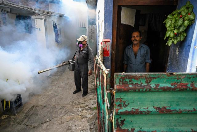 A municipal worker fumigates a residential area during a nationwide dengue prevention campaign in Colombo on June 24, 2026. (Photo by Ishara S. KODIKARA / AFP)