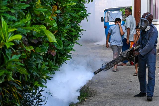A municipal worker fumigates a residential area during a nationwide dengue prevention campaign in Colombo on June 24, 2026. (Photo by Ishara S. KODIKARA / AFP)