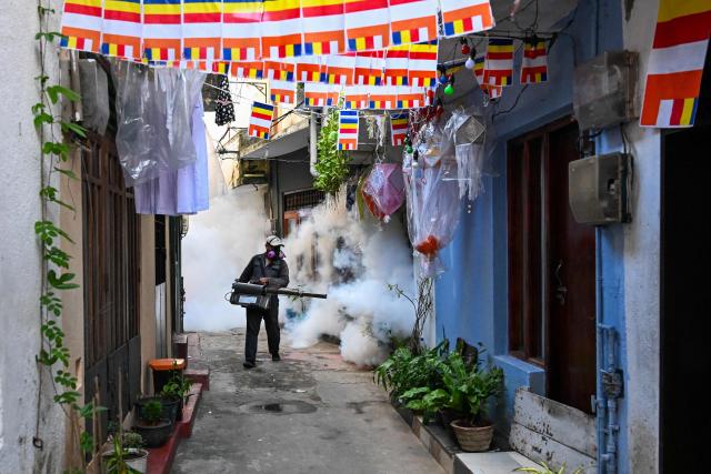 A municipal worker fumigates a residential area decorated with Buddhist flags during a nationwide dengue prevention campaign in Colombo on June 24, 2026. (Photo by Ishara S. KODIKARA / AFP)
