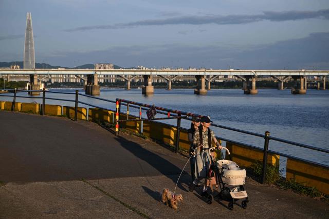 People walk with their dogs along the Hangang River in Seoul on June 24, 2026. (Photo by Jade Gao / AFP)