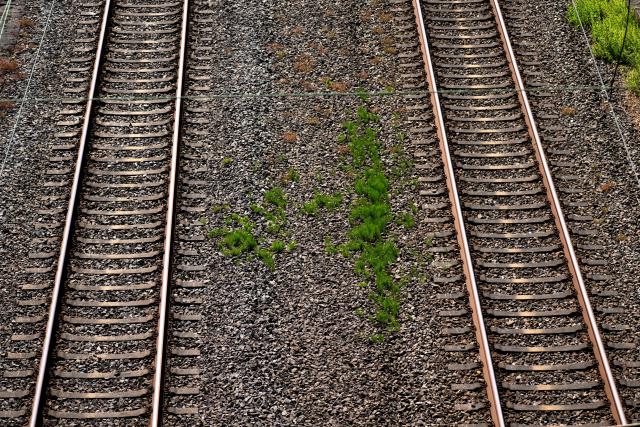 Railway tracks of German railway operator Deutsche Bahn DB are seen at the freight station in Hagen, western Germany on June 24, 2026, the day after a breakdown in the railway radio communication system brought trains across the country to a standstill. A disruption in the digital radio network temporarily brought rail traffic across Germany to a standstill overnight. In addition to long-distance and regional services, private rail operators and S-Bahn (suburban rail) services in various cities were also affected. On June 24, the company stated that train services in Germany had resumed "largely without disruption" that morning. However, "isolated disruptions may still occur." Passengers are advised to check their connections. (Photo by Ina FASSBENDER / AFP)