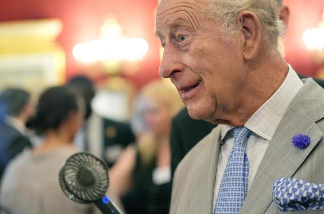 A bead of sweat runs down the cheek Britain's King Charles III as he attends a London Climate Week reception, hosted by the Department for Energy Security and Net Zero (DESNZ), at St James's Palace, London on June 24, 2026. (Photo by Yui Mok / POOL / AFP)