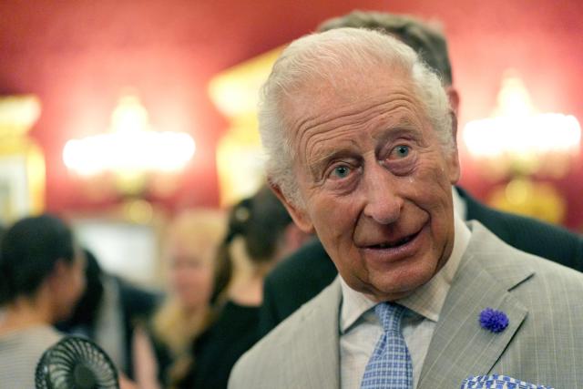 A bead of sweat runs down the cheek Britain's King Charles III as he attends a London Climate Week reception, hosted by the Department for Energy Security and Net Zero (DESNZ), at St James's Palace, London on June 24, 2026. (Photo by Yui Mok / POOL / AFP)