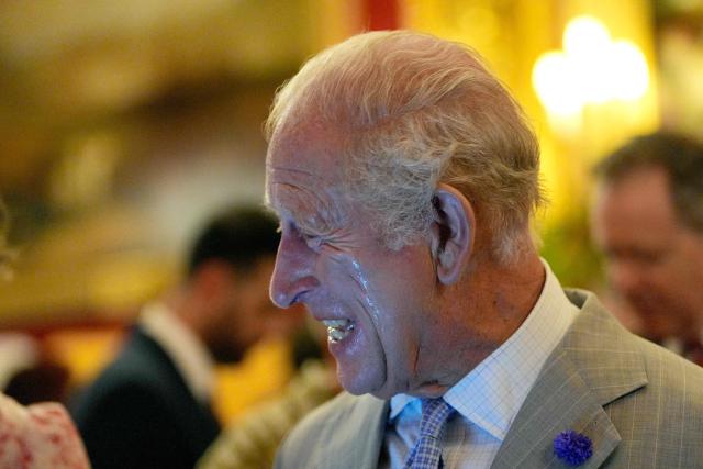 Beads of sweat runs down the cheek Britain's King Charles III as he attends a London Climate Week reception, hosted by the Department for Energy Security and Net Zero (DESNZ), at St James's Palace, London on June 24, 2026. (Photo by Yui Mok / POOL / AFP)