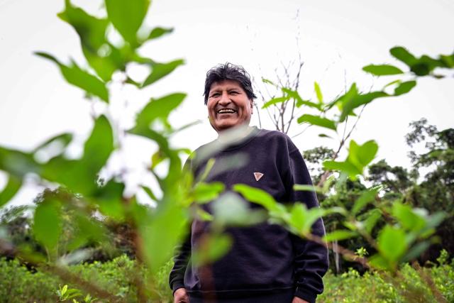 Former Bolivian president Evo Morales smiles next to a coca leaf plantation on his private farm in Villa Victoria, Cochabamba Department, Bolivia, on June 24, 2026. Bolivia's former president Evo Morales said to AFP on June 23, 2026 that the Bolivian government is "forcing a civil war" with its "neoliberal policy," in an interview at his refuge in the jungle region of Chapare where he remains a fugitive. (Photo by MARTIN BERNETTI / AFP)