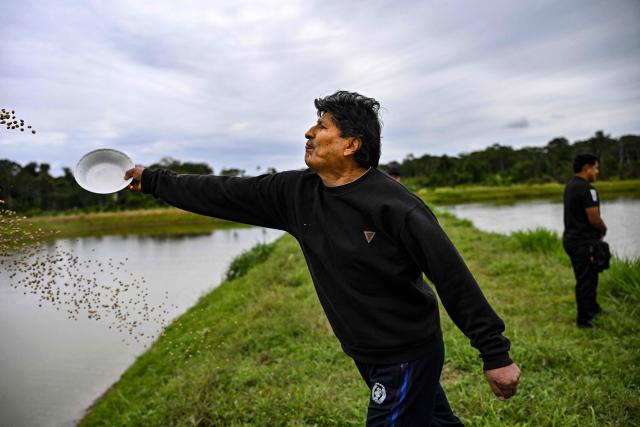 Former Bolivian president Evo Morales feeds fish at a fish pond on his private farm in Villa Victoria, Cochabamba Department, Bolivia, on June 24, 2026. Bolivia's former president Evo Morales said to AFP on June 23, 2026 that the Bolivian government is "forcing a civil war" with its "neoliberal policy," in an interview at his refuge in the jungle region of Chapare where he remains a fugitive. (Photo by MARTIN BERNETTI / AFP)