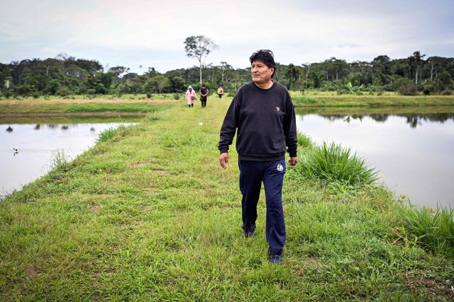 Former Bolivian president Evo Morales walks along fish ponds on his private farm in Villa Victoria, Cochabamba Department, Bolivia, on June 24, 2026. Bolivia's former president Evo Morales said to AFP on June 23, 2026 that the Bolivian government is "forcing a civil war" with its "neoliberal policy," in an interview at his refuge in the jungle region of Chapare where he remains a fugitive. (Photo by MARTIN BERNETTI / AFP)