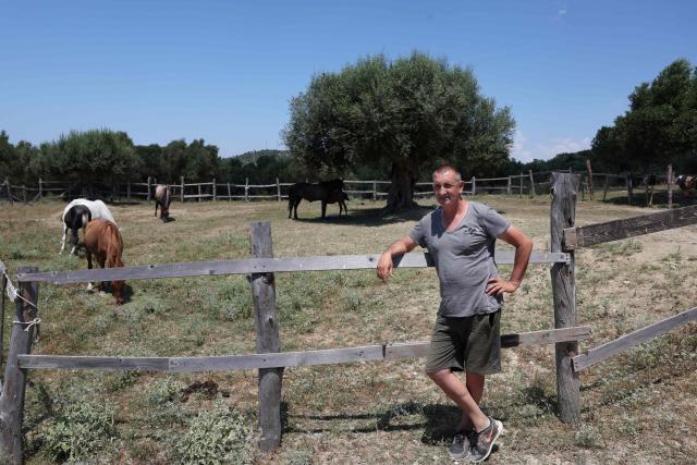 Gentian Mocka, 56, a resident of Novosele and one of the claimed landowners in Zvernec, poses at his horse farm, in Vlora on June 18, 2026. (Photo by Adnan Beci / AFP)