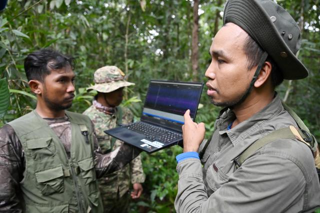 This photo taken on June 10, 2026 shows Ratha Sor (R), Biodiversity and Science Manager of Conservation International Cambodia, and Chea Sareach (L), Biodiversity and Science Senior Coordinator of Conservation International Cambodia, listening to animal sounds recorded from bioacoustics device in the Cardamom National Park in Koh Kong province. Above the patter of rain cascading through the jungle canopy comes the haunting call of a pileated gibbon singing to fend off intruders in Cambodia's Cardamom Mountains. (Photo by TANG CHHIN Sothy / AFP) / To go with 'CAMBODIA-CONSERVATION-ENVIRONMENT-ANIMAL-SCIENCE-FORESTS,FOCUS' by Sara HUSSEIN and Suy SE