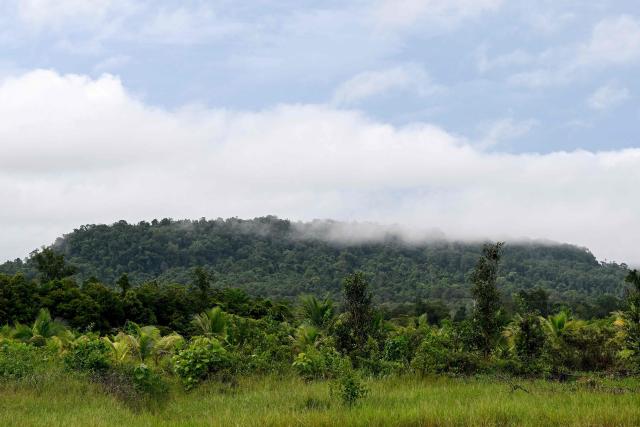 This photo taken on June 10, 2026 shows a general view of a mountain in the Cardamom National Park in Koh Kong province. Above the patter of rain cascading through the jungle canopy comes the haunting call of a pileated gibbon singing to fend off intruders in Cambodia's Cardamom Mountains. (Photo by TANG CHHIN Sothy / AFP) / To go with 'CAMBODIA-CONSERVATION-ENVIRONMENT-ANIMAL-SCIENCE-FORESTS,FOCUS' by Sara HUSSEIN and Suy SE