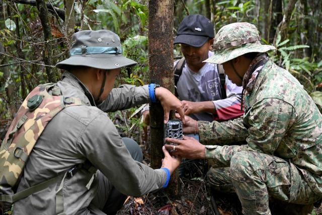 This photo taken on June 10, 2026 shows Ratha Sor (L), Biodiversity and Science Manager of Conservation International Cambodia, and ranger Hou Sophoan (R) preparing to install a camera trap in the Cardamom National Park in Koh Kong province. Above the patter of rain cascading through the jungle canopy comes the haunting call of a pileated gibbon singing to fend off intruders in Cambodia's Cardamom Mountains. (Photo by TANG CHHIN Sothy / AFP) / To go with 'CAMBODIA-CONSERVATION-ENVIRONMENT-ANIMAL-SCIENCE-FORESTS,FOCUS' by Sara HUSSEIN and Suy SE