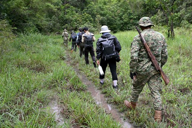 This photo taken on June 9, 2026 shows a Conservation International Cambodia team walking in the Cardamom National Park in Koh Kong province. Above the patter of rain cascading through the jungle canopy comes the haunting call of a pileated gibbon singing to fend off intruders in Cambodia's Cardamom Mountains. (Photo by TANG CHHIN Sothy / AFP) / To go with 'CAMBODIA-CONSERVATION-ENVIRONMENT-ANIMAL-SCIENCE-FORESTS,FOCUS' by Sara HUSSEIN and Suy SE