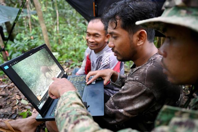 This photo taken on June 9, 2026 shows Chea Sareach (C), Biodiversity and Science Senior Coordinator of Conservation International Cambodia, ranger Hou Sophoan (R) and local community member Pan Sok (L) reviewing photos from a camera trap in the Cardamom mountain area in Koh Kong province. Above the patter of rain cascading through the jungle canopy comes the haunting call of a pileated gibbon singing to fend off intruders in Cambodia's Cardamom Mountains. (Photo by TANG CHHIN Sothy / AFP) / To go with 'CAMBODIA-CONSERVATION-ENVIRONMENT-ANIMAL-SCIENCE-FORESTS,FOCUS' by Sara HUSSEIN and Suy SE