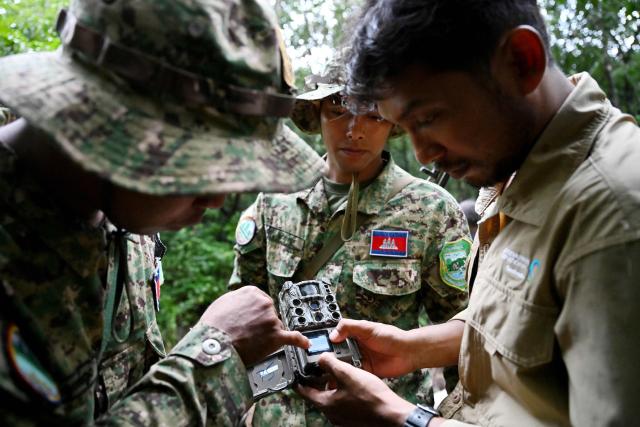 This photo taken on June 9, 2026 shows Chea Sareach (R), Biodiversity and Science Senior Coordinator of Conservation International Cambodia, and rangers Hou Sophoan (L) and Nam Seanglay (C) looking at photos from a camera trap in the Cardamom National Park in Koh Kong province. Above the patter of rain cascading through the jungle canopy comes the haunting call of a pileated gibbon singing to fend off intruders in Cambodia's Cardamom Mountains. (Photo by TANG CHHIN Sothy / AFP) / To go with 'CAMBODIA-CONSERVATION-ENVIRONMENT-ANIMAL-SCIENCE-FORESTS,FOCUS' by Sara HUSSEIN and Suy SE