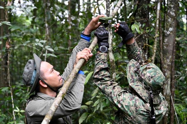 This photo taken on June 10, 2026 shows Ratha Sor (L), Biodiversity and Science Manager of Conservation International Cambodia, and ranger Hou Sophoan (R) handling a bioacoustics device in the Cardamom National Park in Koh Kong province. Above the patter of rain cascading through the jungle canopy comes the haunting call of a pileated gibbon singing to fend off intruders in Cambodia's Cardamom Mountains. (Photo by TANG CHHIN Sothy / AFP) / To go with 'CAMBODIA-CONSERVATION-ENVIRONMENT-ANIMAL-SCIENCE-FORESTS,FOCUS' by Sara HUSSEIN and Suy SE