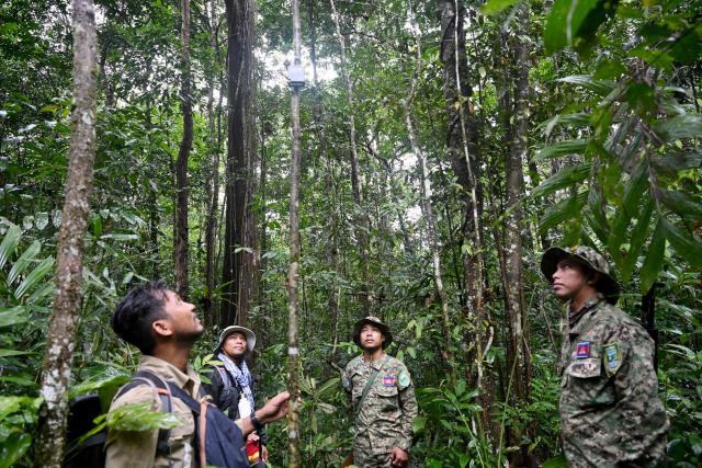 This photo taken on June 9, 2026 shows Chea Sareach (L), Biodiversity and Science Senior Coordinator of Conservation International Cambodia, rangers Nam Seanglay (R) and Hou Sophoan (C) looking at a bioacoustics device in the Cardamom National Park in Koh Kong province. Above the patter of rain cascading through the jungle canopy comes the haunting call of a pileated gibbon singing to fend off intruders in Cambodia's Cardamom Mountains. (Photo by TANG CHHIN Sothy / AFP) / To go with 'CAMBODIA-CONSERVATION-ENVIRONMENT-ANIMAL-SCIENCE-FORESTS,FOCUS' by Sara HUSSEIN and Suy SE