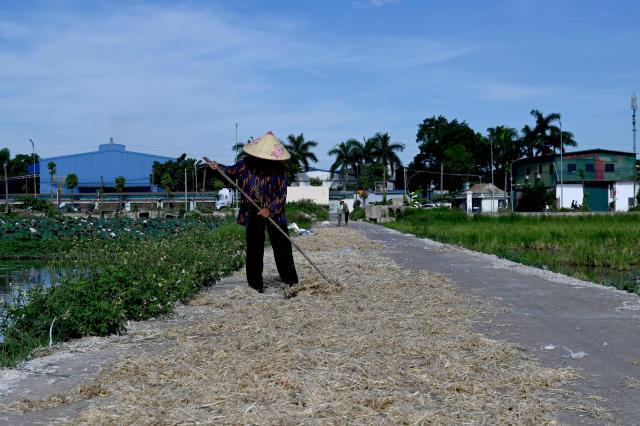 A woman dries poultry feathers on a road in Hanoi on June 25, 2026. (Photo by Nhac NGUYEN / AFP)