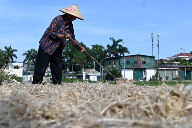 A woman dries poultry feathers on a road in Hanoi on June 25, 2026. (Photo by Nhac NGUYEN / AFP)