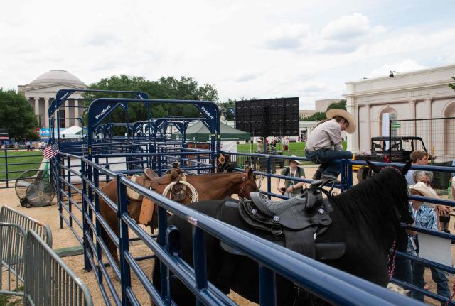 Horses are seen in a makeshift pen ahead of a planned rodeo event during the opening day of the "Great American State Fair" on the National Mall in Washington, DC, on June 25, 2026. The "Great American State Fair" will be held from June 25 to July 10, 2026, to celebrate the 250th anniversary of US independence. (Photo by Matthew Hatcher / AFP)
