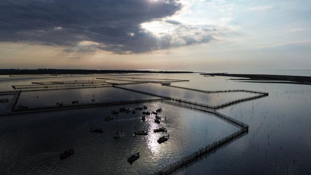 An aerial view shows clam harvesters working in the shallow waters of the Po River Delta at Scardovari, Italy, collecting clams by hand in the lagoon, northeast Italy, on 26 June 2026. (Photo by Stefano RELLANDINI / AFP)