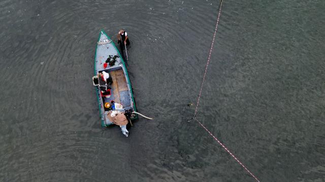 An aerial view shows clam harvesters working in the shallow waters of the Po River Delta at Scardovari, Italy, collecting clams by hand in the lagoon, northeast Italy, on 26 June 2026. (Photo by Stefano RELLANDINI / AFP)