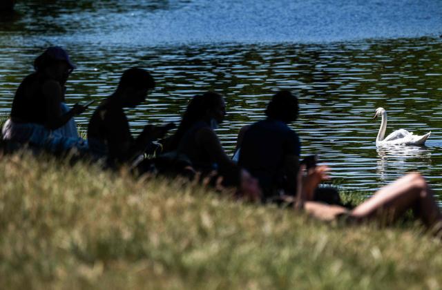 People sit in the shade of a tree as a swan swims past on the banks of a canal in Berlin on June 26, 2026, as temperatures went past 30 degrees Centigrade in the German capital. Germany saw temperatures break 40C at several locations in the country on June 26, 2026, according to preliminary weather service data, breaking the previous recorded high of 39.6C for the month of June. (Photo by John MACDOUGALL / AFP)