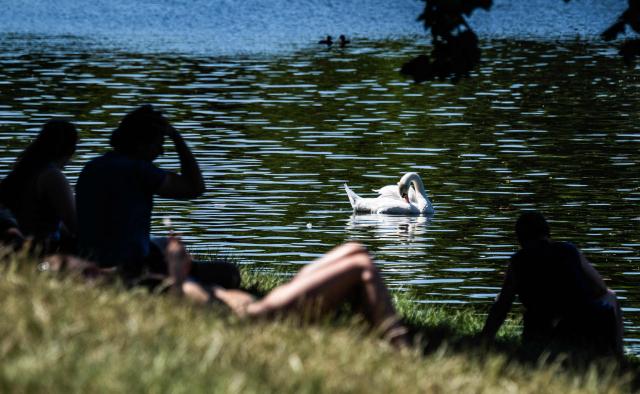 People sit in the shade of a tree as a swan grooms itself on the banks of a canal in Berlin on June 26, 2026, as temperatures went past 30 degrees Centigrade in the German capital. Germany saw temperatures break 40C at several locations in the country on June 26, 2026, according to preliminary weather service data, breaking the previous recorded high of 39.6C for the month of June. (Photo by John MACDOUGALL / AFP)