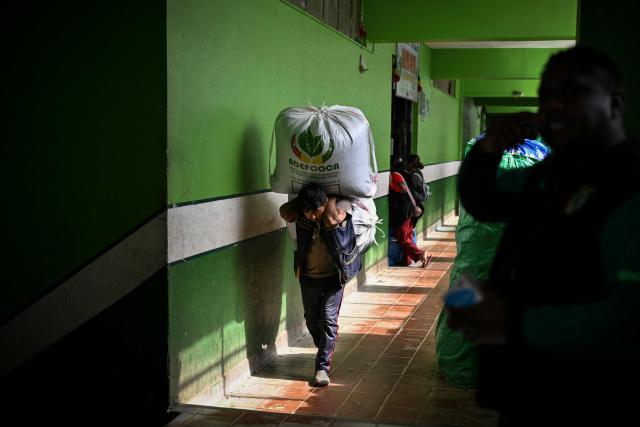 A worker carries sacks of coca leaves at the legal coca market in La Paz, on June 26, 2026. (Photo by MARTIN BERNETTI / AFP)