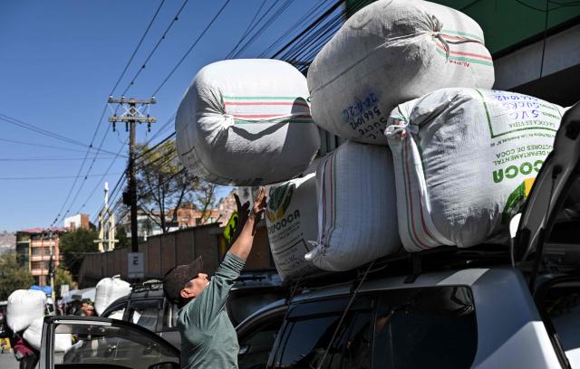 A worker carries large sacks of coca leaves onto a vehicle at the legal coca market in La Paz, on June 26, 2026. (Photo by MARTIN BERNETTI / AFP)