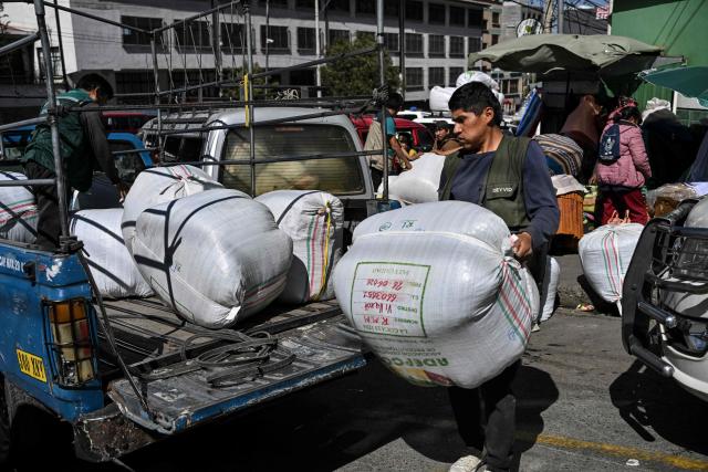 A worker carries large sacks of coca leaves onto a vehicle at the legal coca market in La Paz, on June 26, 2026. (Photo by MARTIN BERNETTI / AFP)