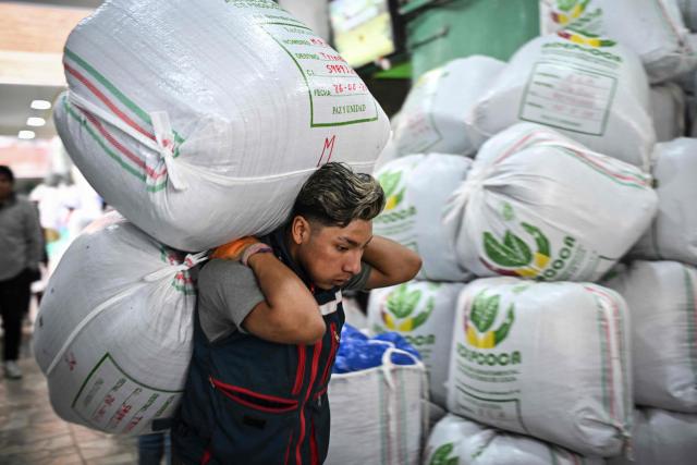 A worker carries sacks of coca leaves at the legal coca market in La Paz, on June 26, 2026. (Photo by MARTIN BERNETTI / AFP)
