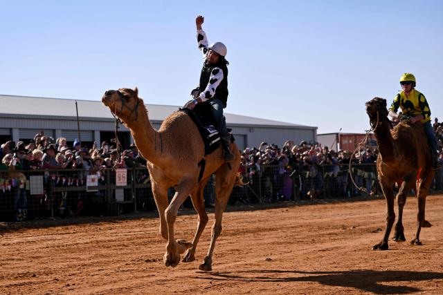 Jockey Patrick Dennis (L) riding camel Young Gun powers to victory in the Marree Australasian Camel Cup run in the South Australian outback town of Marree on June 27, 2026. The Camel Cup is a much-loved outback event celebrating camel racing, Afghan cameleer heritage, community and culture. Camels were instrumental in helping settlers open the outback of Australia to development until trains took over. (Photo by William WEST / AFP)