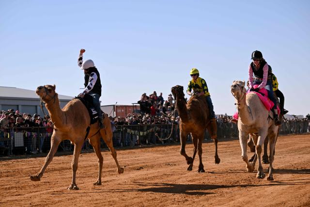 Jockey Patrick Dennis (L) riding camel Young Gun powers to victory in the Marree Australasian Camel Cup run in the South Australian outback town of Marree on June 27, 2026. The Camel Cup is a much-loved outback event celebrating camel racing, Afghan cameleer heritage, community and culture. Camels were instrumental in helping settlers open the outback of Australia to development until trains took over. (Photo by William WEST / AFP)
