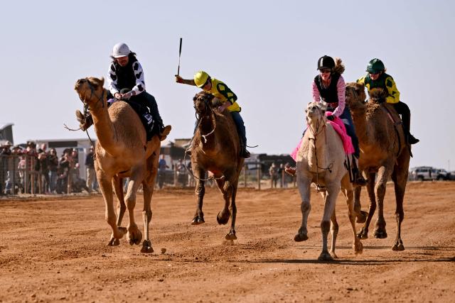 Jockey Patrick Dennis (L) riding camel Young Gun powers to victory in the Marree Australasian Camel Cup run in the South Australian outback town of Marree on June 27, 2026. The Camel Cup is a much-loved outback event celebrating camel racing, Afghan cameleer heritage, community and culture. Camels were instrumental in helping settlers open the outback of Australia to development until trains took over. (Photo by William WEST / AFP)