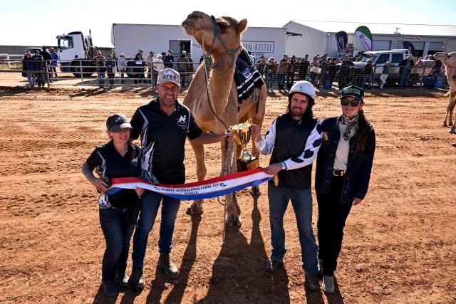 Trainer Wayne Morris (2nd L) and jockey Patrick dennis (2nd R) celebrate with the trophy after their camel Young Gun (C) won the Marree Australasian Camel Cup run in the South Australian outback town of Marree on June 27, 2026. The Camel Cup is a much-loved outback event celebrating camel racing, Afghan cameleer heritage, community and culture. Camels were instrumental in helping settlers open the outback of Australia to development until trains took over. (Photo by William WEST / AFP)