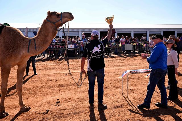 Trainer Wayne Morris (C) celebrates with the trophy after his camel Young Gun (L) won the Marree Australasian Camel Cup run in the South Australian outback town of Marree on June 27, 2026. The Camel Cup is a much-loved outback event celebrating camel racing, Afghan cameleer heritage, community and culture. Camels were instrumental in helping settlers open the outback of Australia to development until trains took over. (Photo by William WEST / AFP)