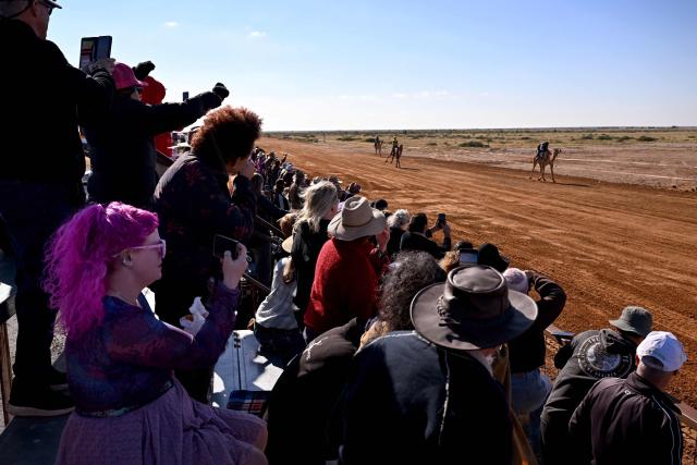Spectators watch camels race during the Marree Australasian Camel Cup meet in the South Australian outback town of Marree on June 27, 2026. The Camel Cup is a much-loved outback event celebrating camel racing, Afghan cameleer heritage, community and culture. Camels were instrumental in helping settlers open the outback of Australia to development until trains took over. (Photo by William WEST / AFP)