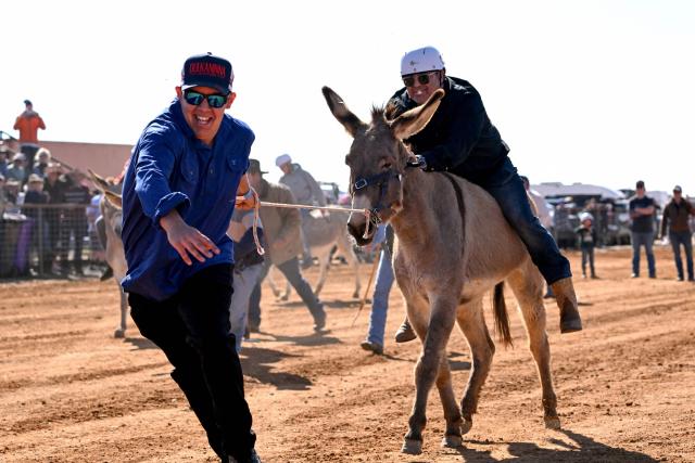 Spectators take part in a donkey race at the Marree Australasian Camel Cup meet in the South Australian outback town of Marree on June 27, 2026. The Camel Cup is a much-loved outback event celebrating camel racing, Afghan cameleer heritage, community and culture. Camels were instrumental in helping settlers open the outback of Australia to development until trains took over. (Photo by William WEST / AFP)