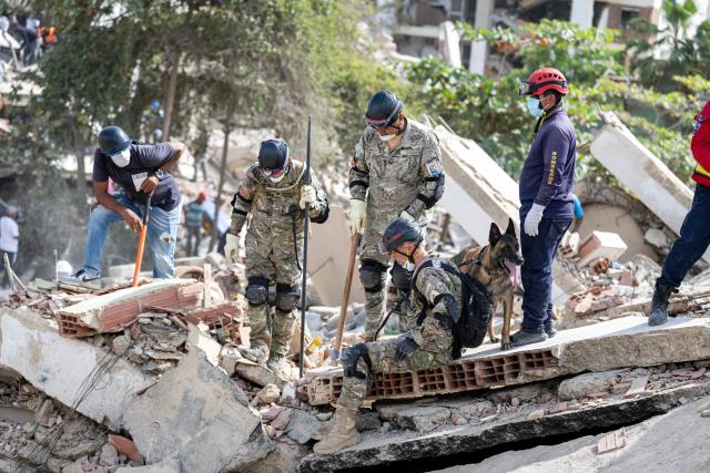 Members of an Argentine search and rescue team work with a dog to search for bodies in the rubble of a collapsed building in Caraballeda, La Guaira state, Venezuela, on June 28, 2026, following earthquakes. Thousands of rescuers, relatives and volunteers dig day and night through mounds of concrete to find survivors of the earthquakes that struck Venezuela more than three days ago, leaving nearly 1,500 dead and tens of thousands missing. (Photo by Miguel MEDINA / POOL / AFP)