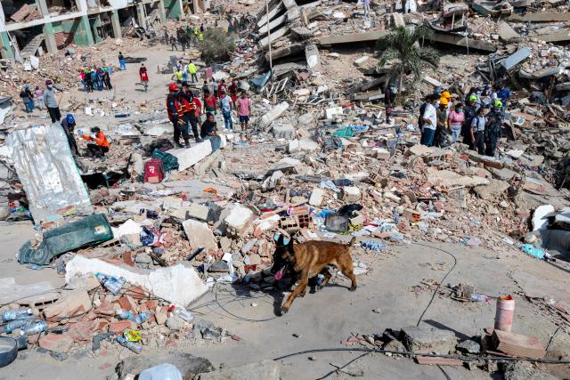 A rescue dog from the Argentine search and rescue team search for bodies in the rubble of a collapsed building in Caraballeda, La Guaira state, Venezuela, on June 28, 2026, following twin earthquakes. Thousands of rescuers, relatives and volunteers dig day and night through mounds of concrete to find survivors of the earthquakes that struck Venezuela more than three days ago, leaving nearly 1,500 dead and tens of thousands missing. (Photo by Miguel MEDINA / POOL / AFP)