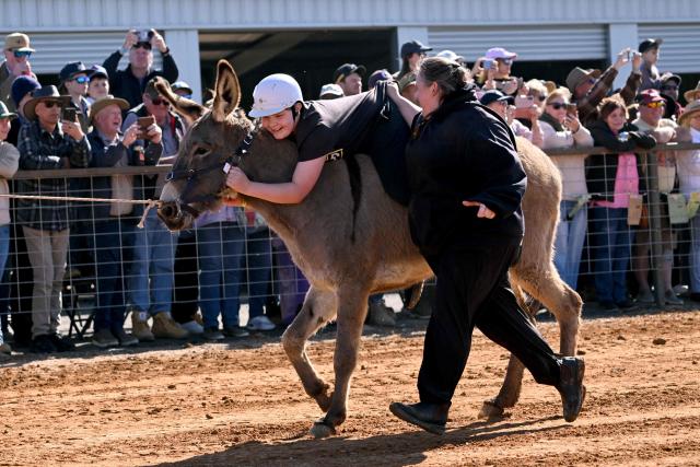 Spectators take part in a donkey race at the Marree Australasian Camel Cup meet in the South Australian outback town of Marree on June 27, 2026. The Camel Cup is a much-loved outback event celebrating camel racing, Afghan cameleer heritage, community and culture. Camels were instrumental in helping settlers open the outback of Australia to development until trains took over. (Photo by William WEST / AFP)