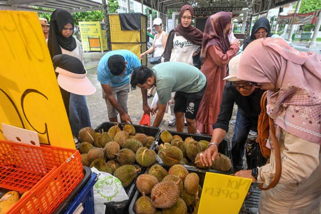 People check durians for sale at a market in Singapore on June 24, 2026. (Photo by Roslan RAHMAN / AFP)