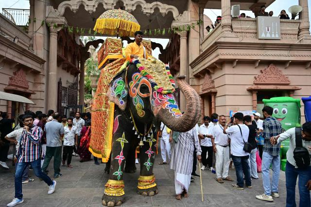 A mahout rides a decorated elephant during Jal Yatra, a Hindu religious procession from Lord Jagannath temple to Sabarmati riverfront in Ahmedabad on June 29, 2026. (Photo by Shammi MEHRA / AFP)