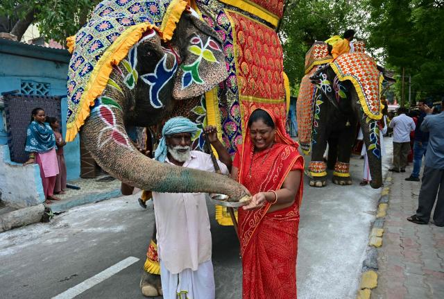 Hindu devotees feed a decorated elephant during Jal Yatra, a Hindu religious procession from Lord Jagannath temple to Sabarmati riverfront in Ahmedabad on June 29, 2026. (Photo by Shammi MEHRA / AFP)