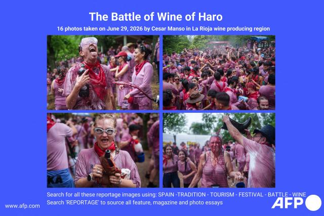 AFP presents a reportage of 16 photos by Cesar Manso taken on June 29, 2026, showing  the"Batalla del Vino" (Battle of Wine) in Haro, in the wine producing region of La Rioja. Every year thousands of locals and tourists climb a mountain in the northern Spanish wine producing region of La Rioja to celebrate St. Peter's day by covering each other in red wine using water pistols, back mounted spraying devices, buckets which are randomly poured on heads and into any other available container.

Search for all these reportage images using: SPAIN-TRADITION-TOURISM-FESTIVAL-BATTLE-WINE
Search 'REPORTAGE' to source all feature, magazine and photo essays. (Photo by CESAR MANSO / AFP)